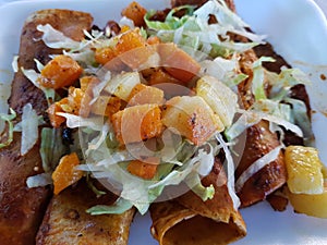 enchiladas mineras, typical mexican food of the state of Guanajuato