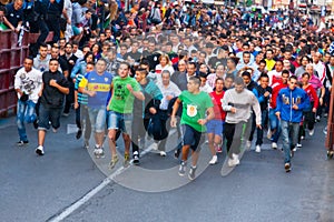 Encierro - Running of the Bulls