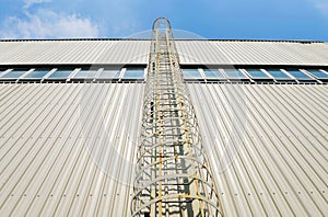 Enclosed safety ladder