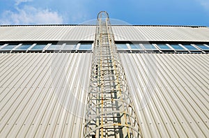 Enclosed safety ladder photo