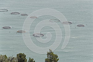 The enclosures of a fish farm