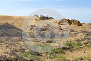 Encroaching desert on a June day. Republic of Kalmykia, Russia