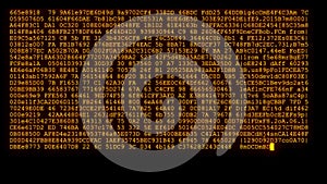 Encrypted programming security hacking code data flow stream on display new quality numbers letters coding techno joyful