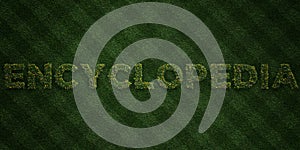 ENCYCLOPEDIA - fresh Grass letters with flowers and dandelions - 3D rendered royalty free stock image