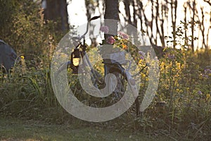 Vintage bicycle in bucolic and relaxing scandinavian garden photo