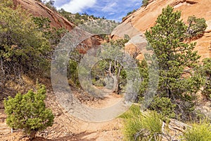 At the end of the Alcove Nature Trail