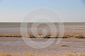 The end of civilised world: At the boarder of the Etosha Salp Pans