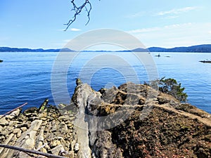A the end of a hiking path leading to a beautiful point overlooking a vast blue ocean in the gulf islands, British Columbia, Canad photo