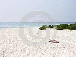 End of holidays: an isolated beach umbrella abandoned on the sand Ari Atoll, Maldives