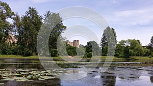 Landscape of the backwater of the Narva River Lipovaya Yamka with trees on the river spit and ancient ruins in the background.