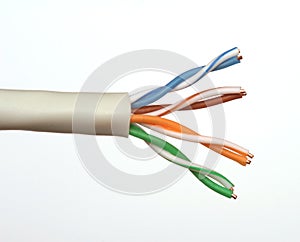 End of a Network Cable