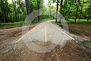 End of road in forest