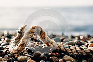 The end of the rope lies on a stone sea beach