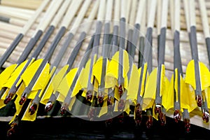 End of sport archery arrows in row