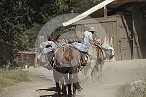 The end of the trail ride