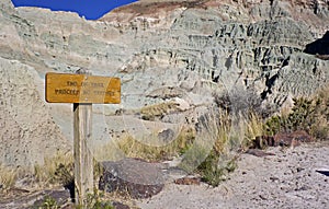 End Of Trail Sign Blue Basin Oregon