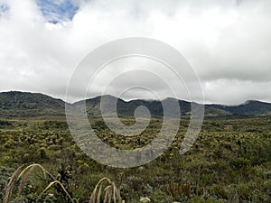 Endangered paramo ecosystem. Protected area threatened by climate change.