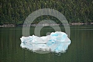Endicott Arm, Alaska: A brilliant aqua-colored iceberg that has calved off of the Dawes Glacier