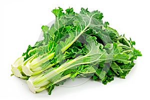 Endive or butterhead lettuce isolated on white background. Fresh green salad leaves from garden