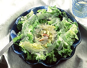 Endive,celery and crab salad