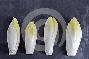 Endive Cichorium endivia with beautiful soft green leaves,aligned on slate table.