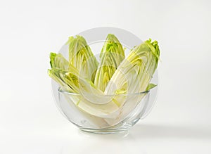 Endive