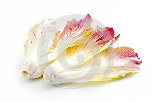 Endive lettuce isolated on white background. Fresh green salad leaves from garden