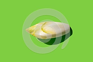 Endive on radiant surface, flat lay, sleek design concept, green flat lay