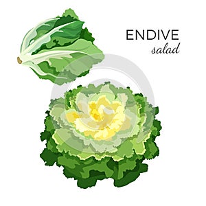 Salát čerstvý vegetariánský zeleninový vektor ilustrace 