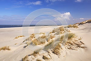 Endless beach on the island of Terschelling, The Netherlands photo