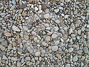 Endless dry sea pebbles, texture, background. Pebbles gray, small, oval.