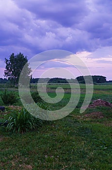 Endless expanses of fields and gray thunderclouds