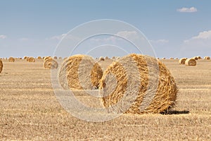 Endless fields of hay bails