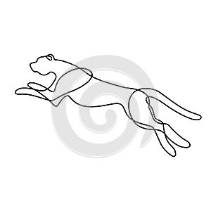 Endless line art illustration of jaguar. Continuous black outline drawing on white background