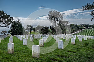 Endless lines of white tombstones, Rosecrans Cemetery, San Diego, CA, USA