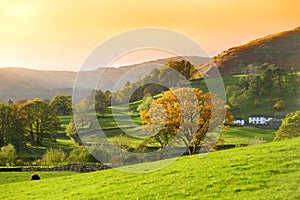 Endless lush pastures and farmlands of England. Beautiful English countryside with emerald green fields and meadows