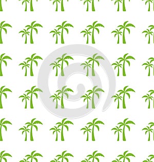 Endless Print Texture with Tropical Palm Trees