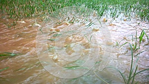 Endless raindrops on a close, bounce back into the air briefly after they hit the surface, countryside, Thailand.