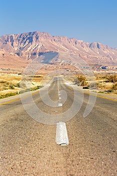 Endless road driving drive empty desert landscape portrait format loneliness infinite distance