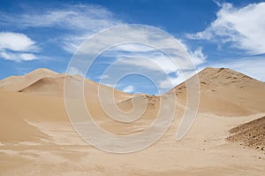 Endless sand dunes of the desert