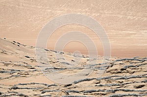 Endless sands of the desert
