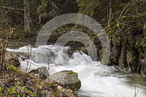Endless stream. Beautiful fast mountain river in forest. Slovakia photo