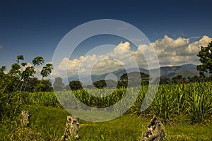 Landscape of valle del cauca en colombia photo