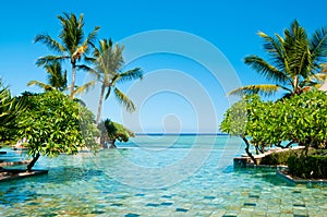 Endless Swimming Pool in paradise photo