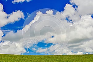 The endless, verdant Kalajun Prairie in Xinjiang