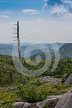 Endless view of mountains