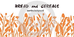 Endless wheat, barley and oat cereals background, flat vector illustration isolated.