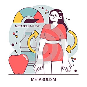 Endocrine system function. Cellular metabolism. Biochemical reaction