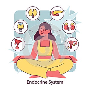 Endocrine system organ. Human gland function. Pancreas, pituitary