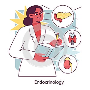 Endocrinology. Endocrine system organs, pancreas thyroid gland, pituitary